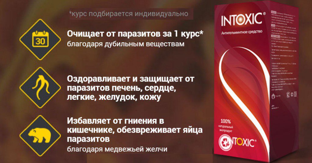 Ингредиенты, которыми насыщена формула такого препарата, как противопаразитарное средство Интоксик, обладают великолепной синергией, усиливая действие друг друга