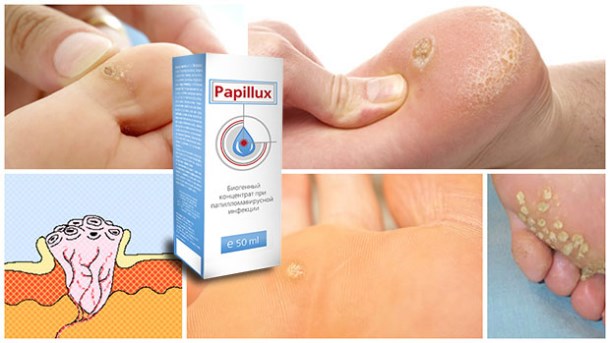 Papillux не содержит синтетических, лекарственных, генномодифицированных веществ и консервантов