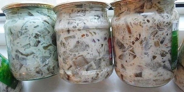 Баклажаны в майонезе со вкусом грибов: рецепт лучшей закуски на зиму