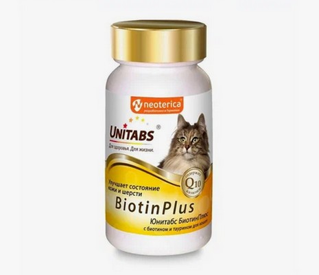 10 лучших витаминов для кошек от выпадения шерсти